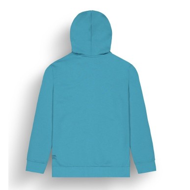 Picture Basement Flock hoodie desert sage
