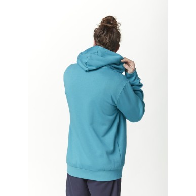 Picture Basement Flock hoodie desert sage