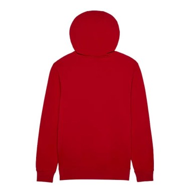 Picture basement zip hoodie red clay
