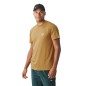 Picture Adak Tee bronze brown