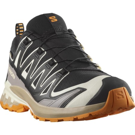 Salomon XA Pro 3D V9 GTX black /vanilla ice/ turmeric