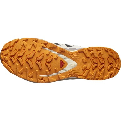 Salomon XA Pro 3D V9 GTX black /vanilla ice/ turmeric