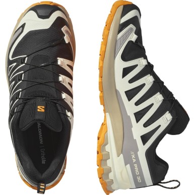 Salomon XA Pro 3D V9 GTX black /vanilla ice/ turmeric