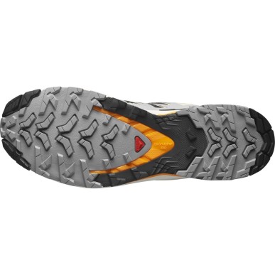 Salomon XA PRO 3D V9 Black / gull / turmeric