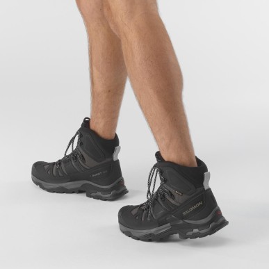 Salomon Quest 4 GTX magnet / black / quarry