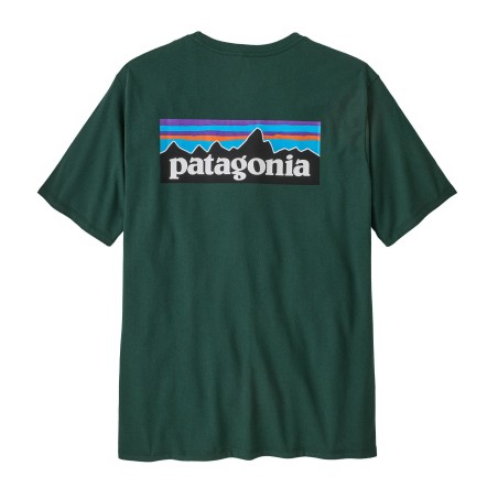 Patagonia P-6 Logo Responsibili Tee cascade green