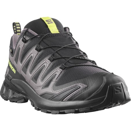 Salomon XA Pro 3D V9 GTX black / dark gull gray / acide lime