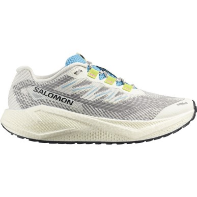 Salomon Aero Blaze 3 GRVL vanilla Ice/ ojos del salar / black