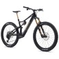 AMFLOW PL CARBON PRO
