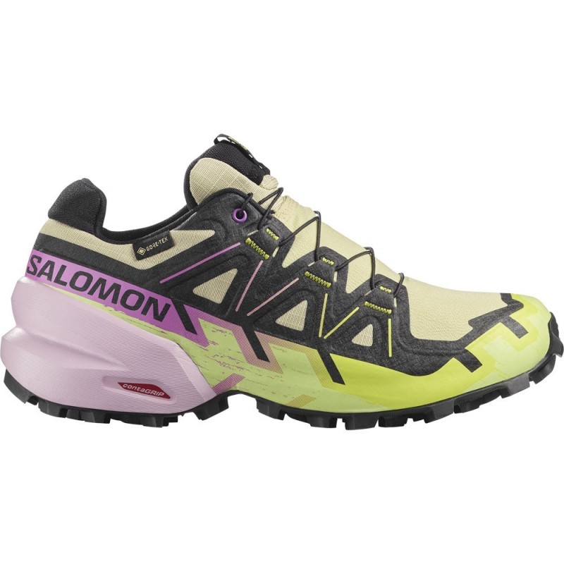 Salomon Speedcross 6 GTX Femme bog / dawn pink
