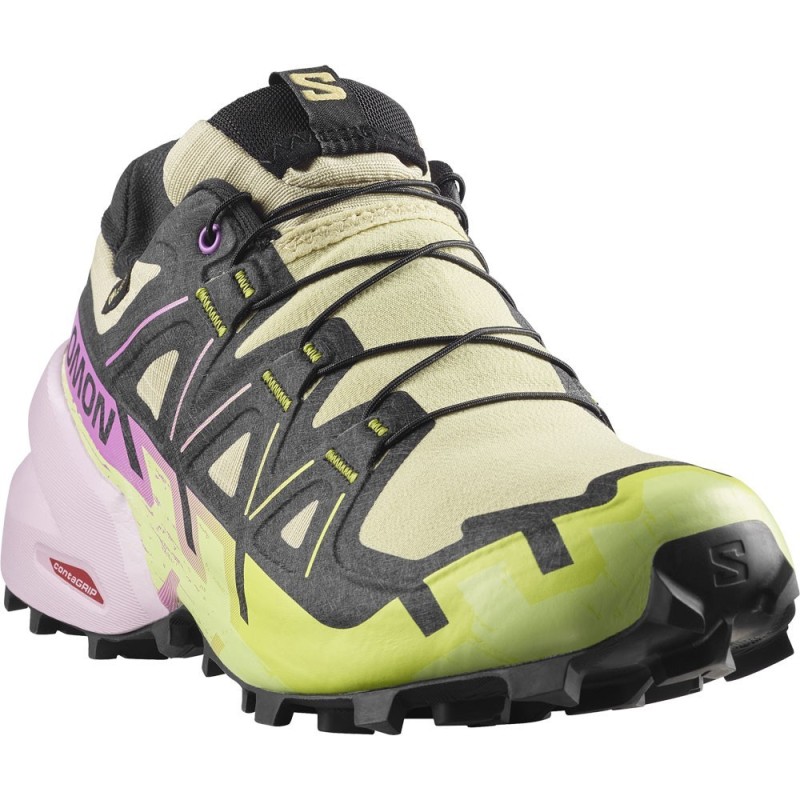 Salomon Speedcross 6 GTX Femme bog / dawn pink
