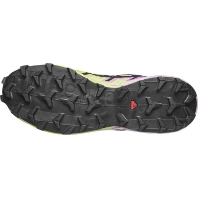 Salomon Speedcross 6 GTX Femme bog / dawn pink