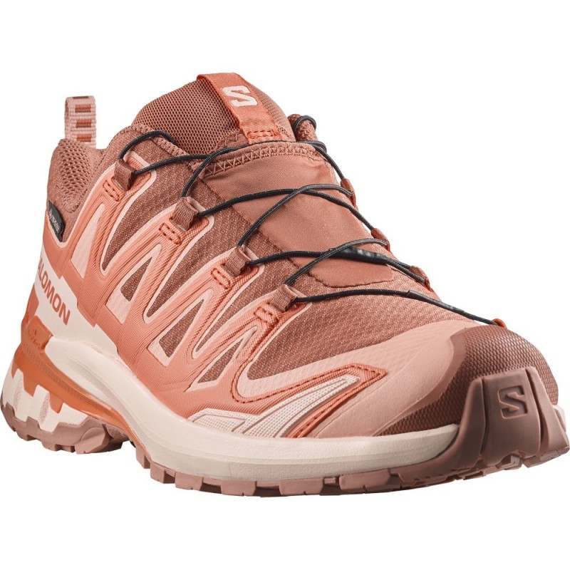 Salomon XA PRO 3D V9 GTX Femme pecan brown / nectarine