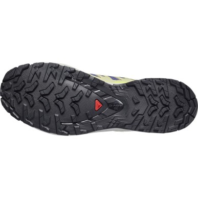 Salomon XA PRO 3D V9 bluing / bog