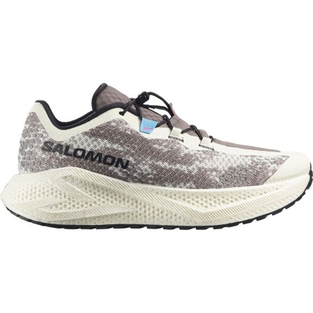 Salomon Aero Glide 4 GRVL vanilla ice / black
