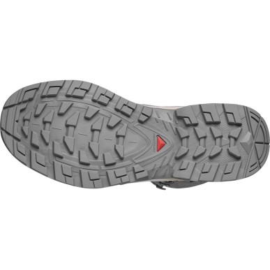 Salomon Quest Echo GTX Femme gull / paloma