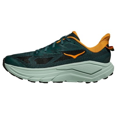 Hoka Challenger 8 bay leaf / sage
