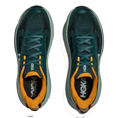 Hoka Challenger 8 bay leaf / sage