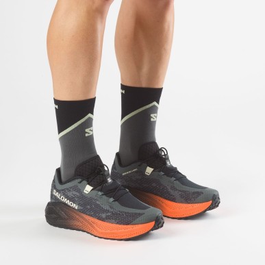 Salomon Aero Glide 4 GRVL urban chic / black / lime cream