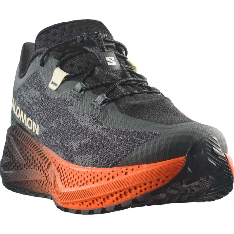Salomon Aero Glide 4 GRVL urban chic / black / lime cream