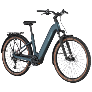 BERGAMONT E-HORIZON EDITION 5 WAVE