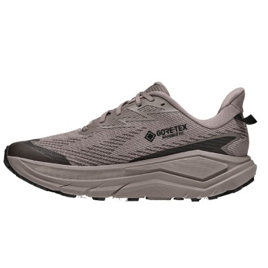 Hoka Challenger 8 GTX pebble grey / boulder grey