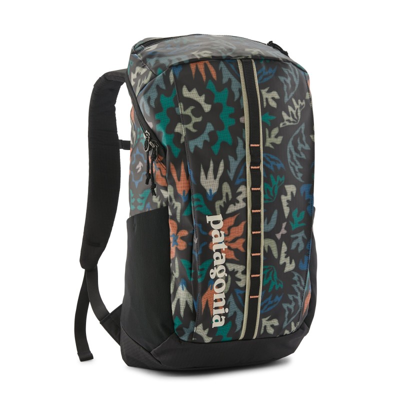 Patagonia Black Hole Pack 25L kaleido black