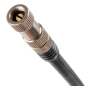 Pompe Amortisseur/Fourche M-WAVE - AVEC MANOMETRE 27 BAR MAX - 400PSI Pompe Amortisseur/Fourche M-WAVE - AVEC MANOMETRE 27 BAR MAX - 400PSI