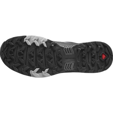 Salomon X Ultra 4 GTX magnt / black / monument