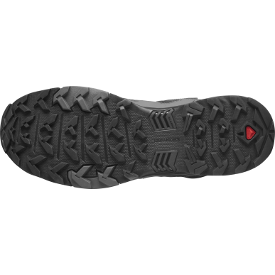 Salomon X Ultra 4 MID GTX black / magnet / blue pearl
