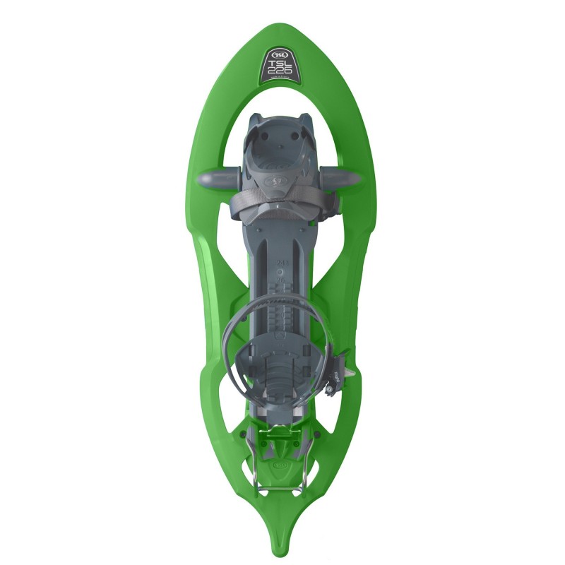 TSL 226 Cactus