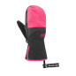 Picture Kali mitt hibiscus Picture Kali mitt hibiscus