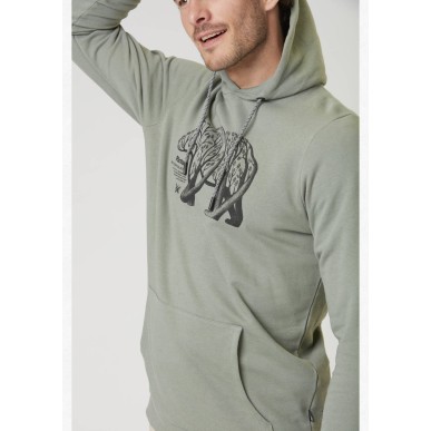 Picture DS bear branch Hood green spray