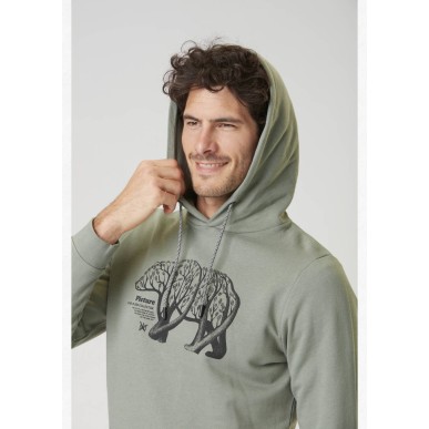Picture DS bear branch Hood green spray
