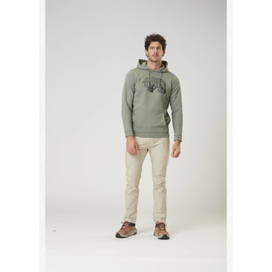Picture DS bear branch Hood green spray