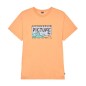 Picture Namara Tee pumpkin
