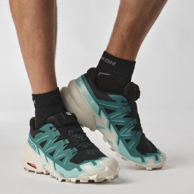 Salomon Speedcross 6 GTX black / harbor blue / rainy day