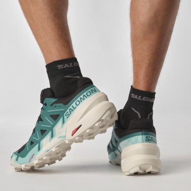Salomon Speedcross 6 GTX black / harbor blue / rainy day
