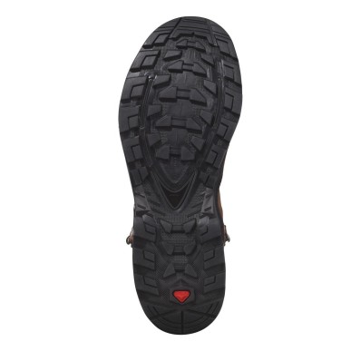 Salomon Quest Element GTX Femme mocha mousse / pewter / marine blue