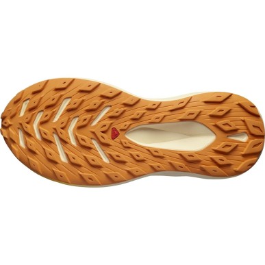 Salomon Glide Max TR Femme bleached sand / tender peach / orange pepper