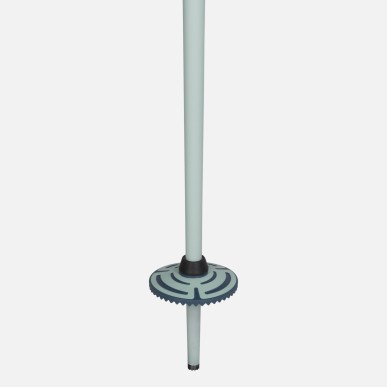 batons Rossignol stove + Blue