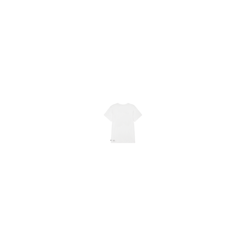 Picture Basement Guinea Tee white