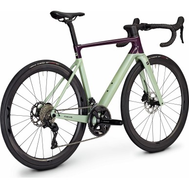 FOCUS Izalco MAX 8.8 2024