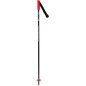 batons DYNASTAR SPEED SL JR