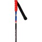 batons DYNASTAR SPEED SL JR
