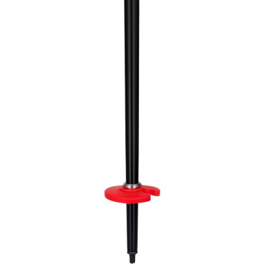 batons DYNASTAR SPEED SL JR