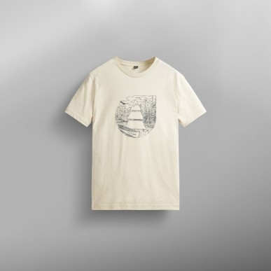 Picture Pumalip Tee wood ash