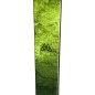Dynastar M-VERTICAL 88 + Dynafit TLT Speed Radical Dynastar M-VERTICAL 88 + Dynafit TLT Speed Radical