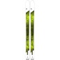 Dynastar M-VERTICAL 88 + Dynafit TLT Speed Radical Dynastar M-VERTICAL 88 + Dynafit TLT Speed Radical