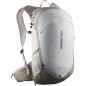 Salomon TrailBlazer 20 vintage khaki / glacier gray Salomon TrailBlazer 20 vintage khaki / glacier gray